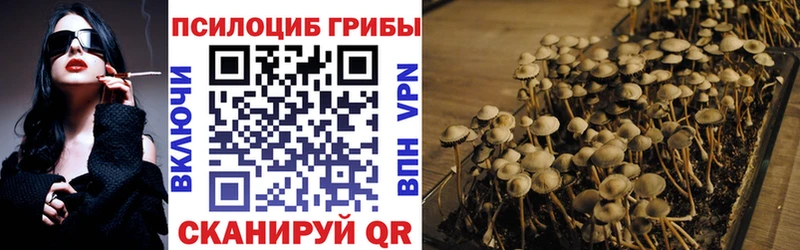 где можно купить   Асбест  OMG зеркало  Галлюциногенные грибы мухоморы 